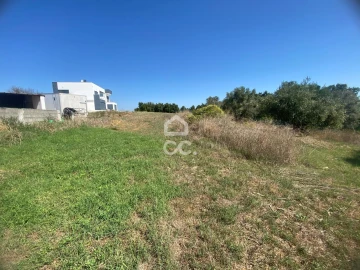 Terreno para Venda em Torres Novas (Santa Maria, Salvador e Santiago)