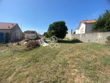 Terreno para Venda em Torres Novas (Santa Maria, Salvador e Santiago)