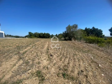 Terreno para Venda em Torres Novas (Santa Maria, Salvador e Santiago)