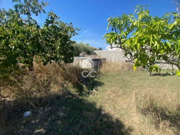 Terreno para Venda em Torres Novas (Santa Maria, Salvador e Santiago)