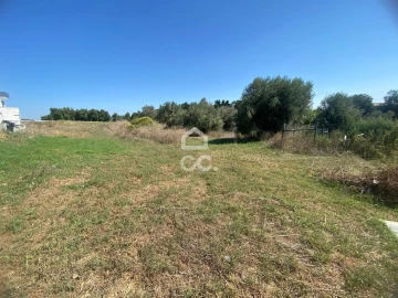 Terreno para Venda em Torres Novas (Santa Maria, Salvador e Santiago)