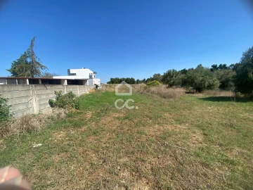Terreno para Venda em Torres Novas (Santa Maria, Salvador e Santiago)