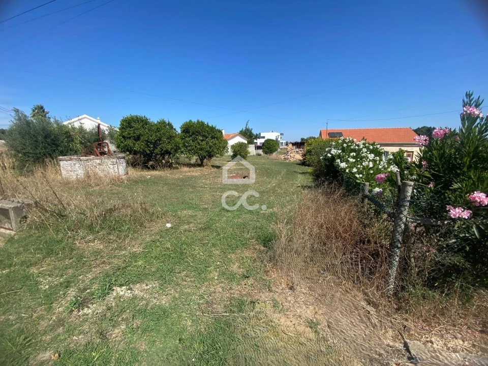 Terreno para Venda em Torres Novas (Santa Maria, Salvador e Santiago) Foto 1