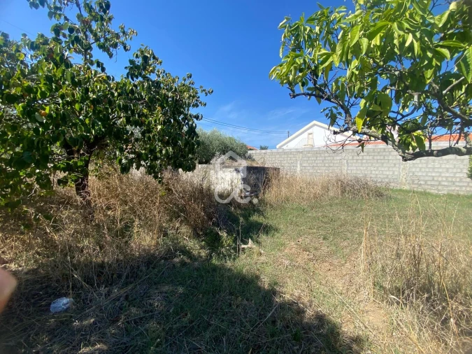 Terreno para Venda em Torres Novas (Santa Maria, Salvador e Santiago) Foto 17