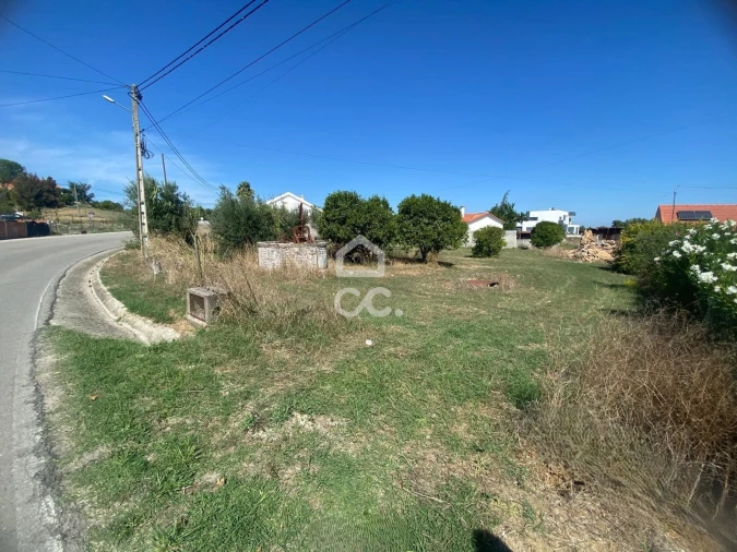 Terreno para Venda em Torres Novas (Santa Maria, Salvador e Santiago) Foto 2