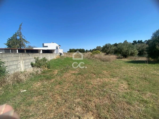 Terreno para Venda em Torres Novas (Santa Maria, Salvador e Santiago) Foto 6