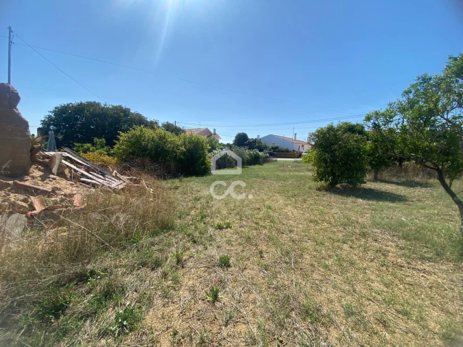 Terreno para Venda em Torres Novas (Santa Maria, Salvador e Santiago) Foto 13