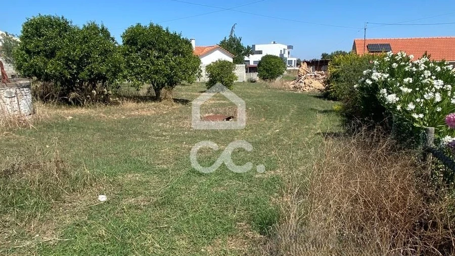 Terreno para Venda em Torres Novas (Santa Maria, Salvador e Santiago)