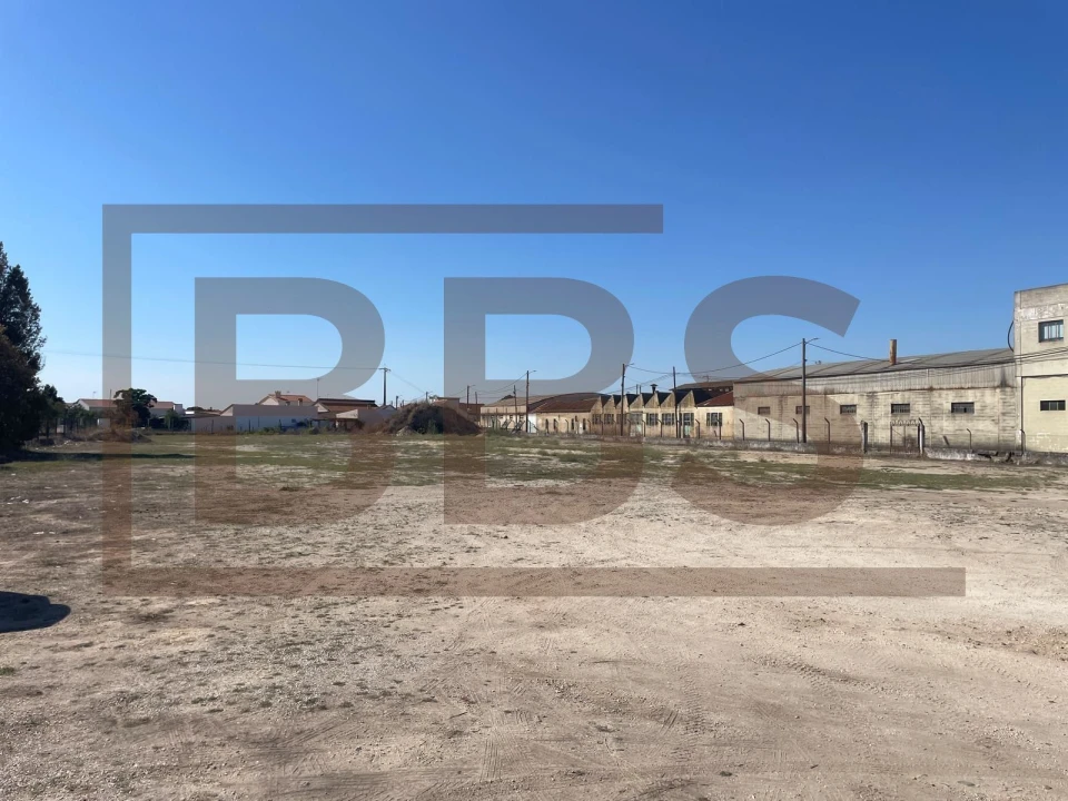 Terreno para Venda em Marinhais Foto 3