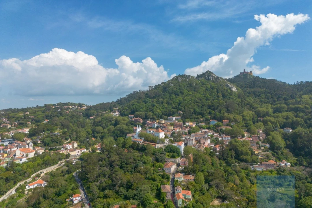 Prédio para Venda em Santa Maria e São Miguel, São Martinho, São Pedro Penaferrim Foto 33