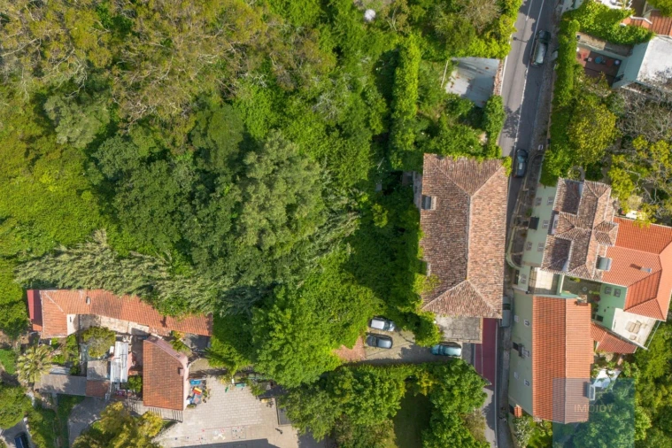 Prédio para Venda em Santa Maria e São Miguel, São Martinho, São Pedro Penaferrim Foto 20