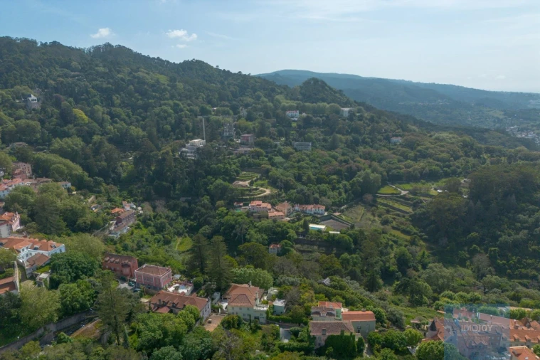 Prédio para Venda em Santa Maria e São Miguel, São Martinho, São Pedro Penaferrim Foto 25