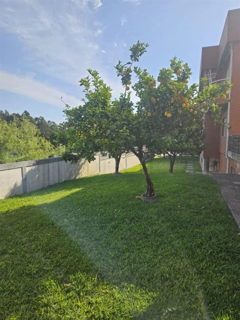 Apartamento T3 para Venda em Grijó e Sermonde