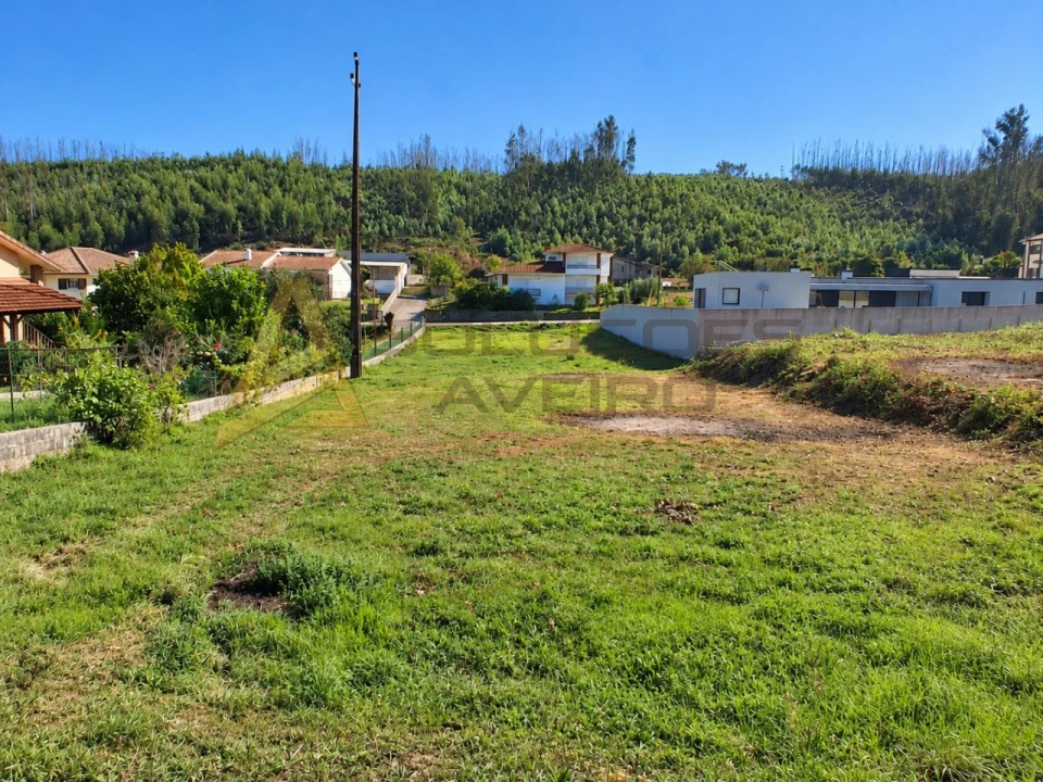 Terreno para Venda em Albergaria-A-Velha e Valmaior Foto 5