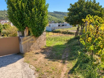 Terreno para Venda em Albergaria-A-Velha e Valmaior