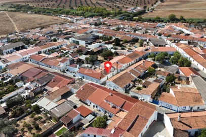 Negócio para Venda em Santa Vitória e Mombeja