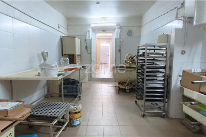 Negócio para Venda em Santa Vitória e Mombeja