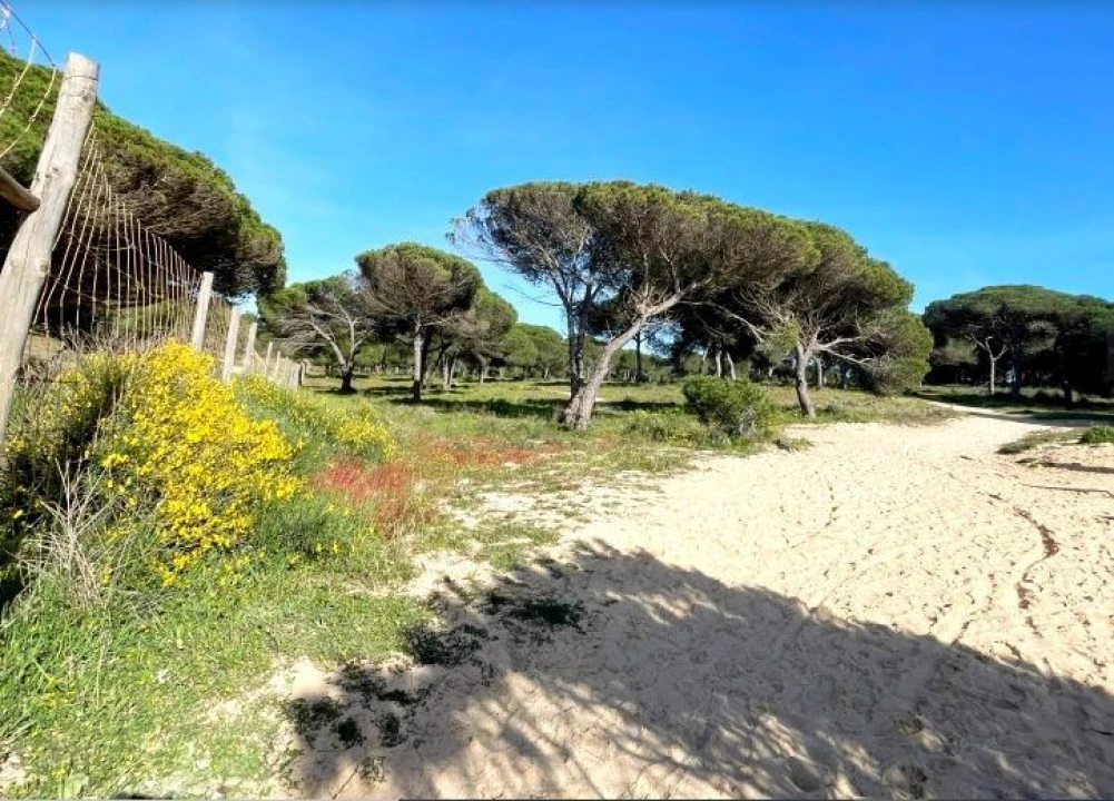Terreno Misto para Venda em Albufeira e Olhos de Água Foto 4
