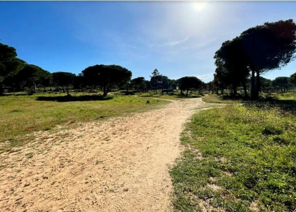 Terreno Misto para Venda em Albufeira e Olhos de Água Foto 9