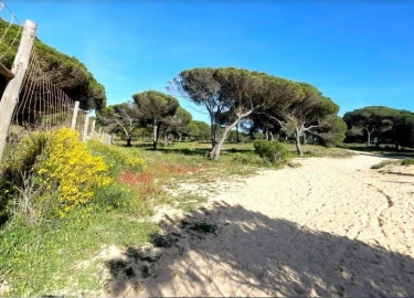 Terreno Misto para Venda em Albufeira e Olhos de Água