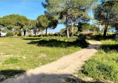 Terreno Misto para Venda em Albufeira e Olhos de Água