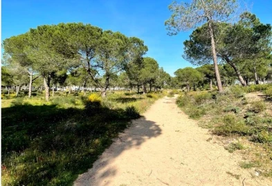 Terreno Misto para Venda em Albufeira e Olhos de Água