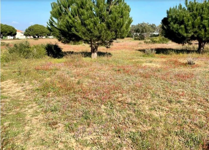 Terreno Misto para Venda em Albufeira e Olhos de Água Foto 3