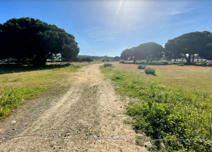 Terreno Misto para Venda em Albufeira e Olhos de Água Foto 7