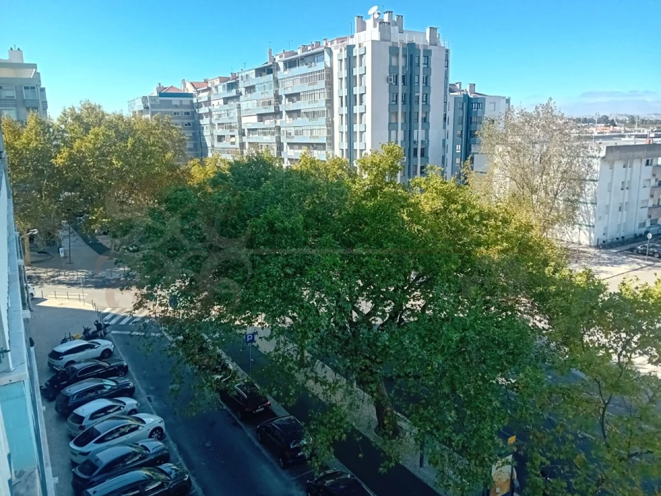 Apartamento T4 para Venda em Alvalade Foto 19