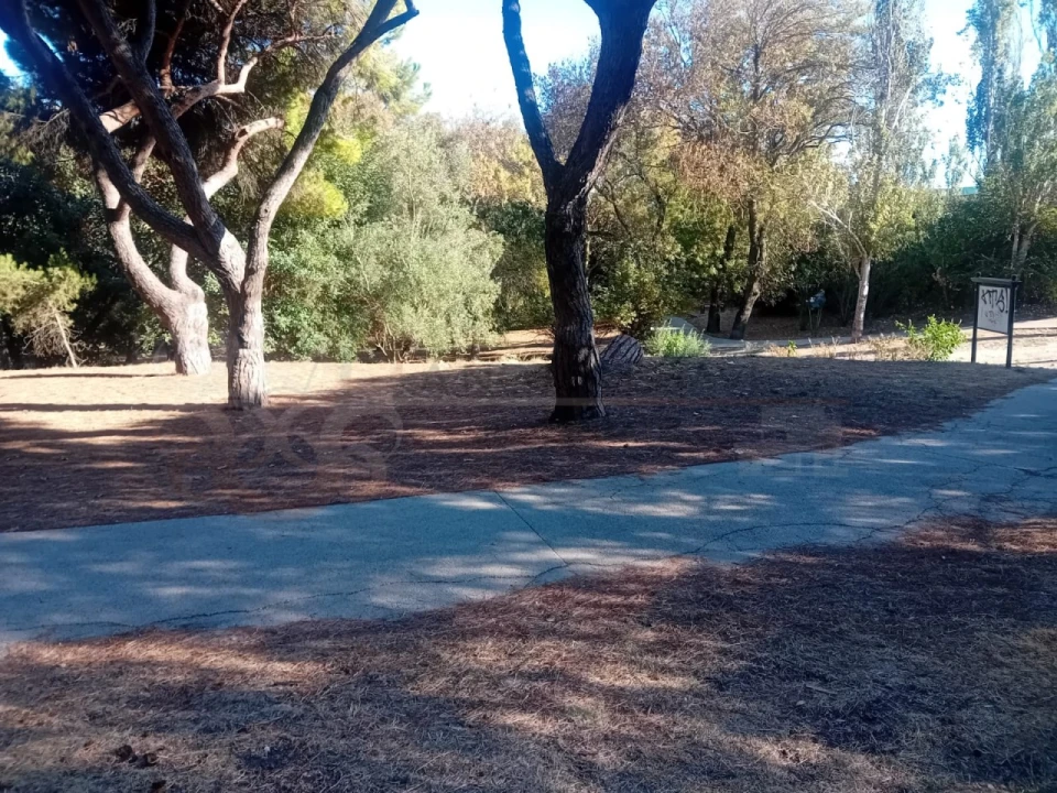 Apartamento T4 para Venda em Alvalade Foto 39