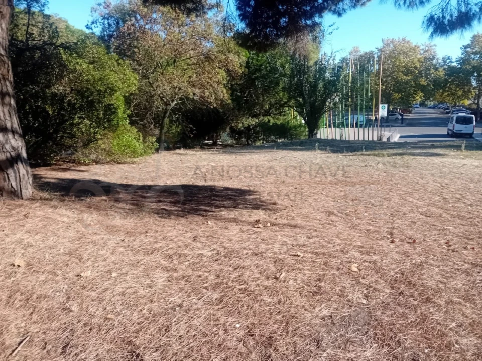 Apartamento T4 para Venda em Alvalade Foto 41