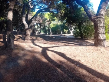 Apartamento T4 para Venda em Alvalade