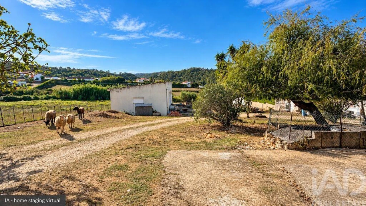 Quinta T3 para Venda em Santo Isidoro Foto 4