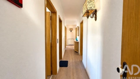 Quinta T3 para Venda em Santo Isidoro
