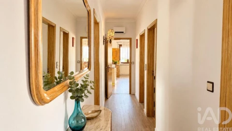 Quinta T3 para Venda em Santo Isidoro