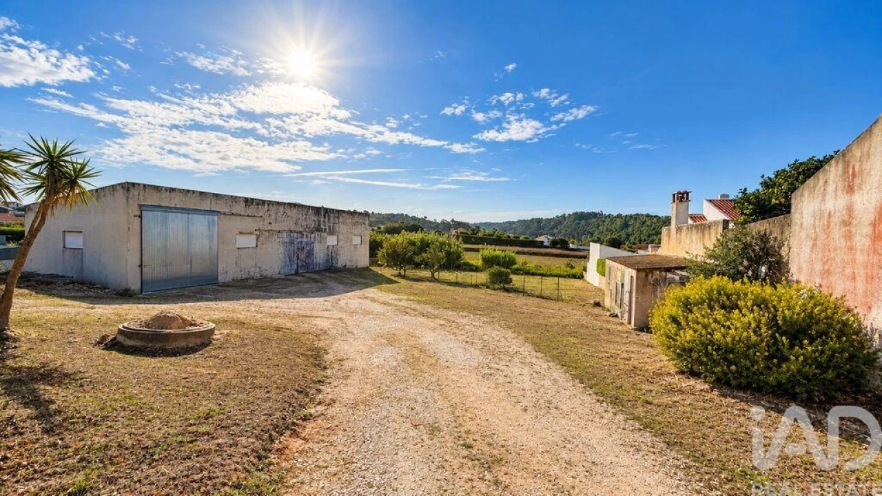 Quinta T3 para Venda em Santo Isidoro Foto 5
