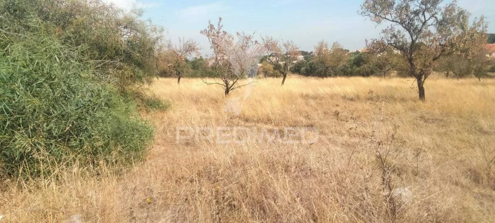 Apartamento para Venda em Albufeira e Olhos de Água Foto 3