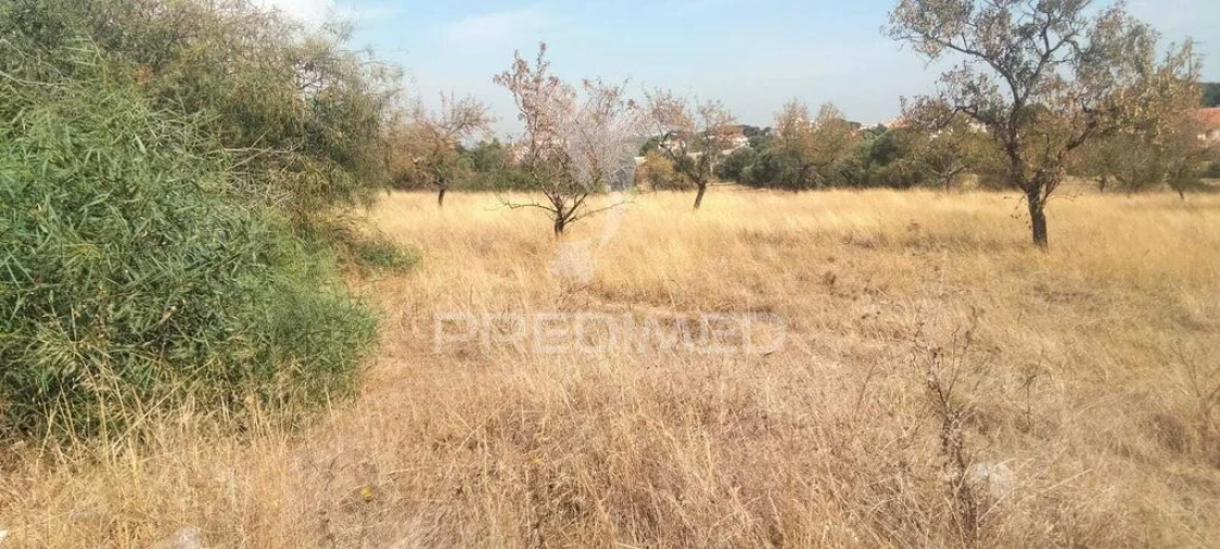Apartamento para Venda em Albufeira e Olhos de Água Foto 3
