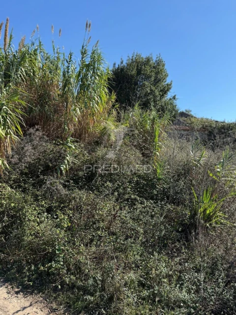 Terreno para Venda em Benedita