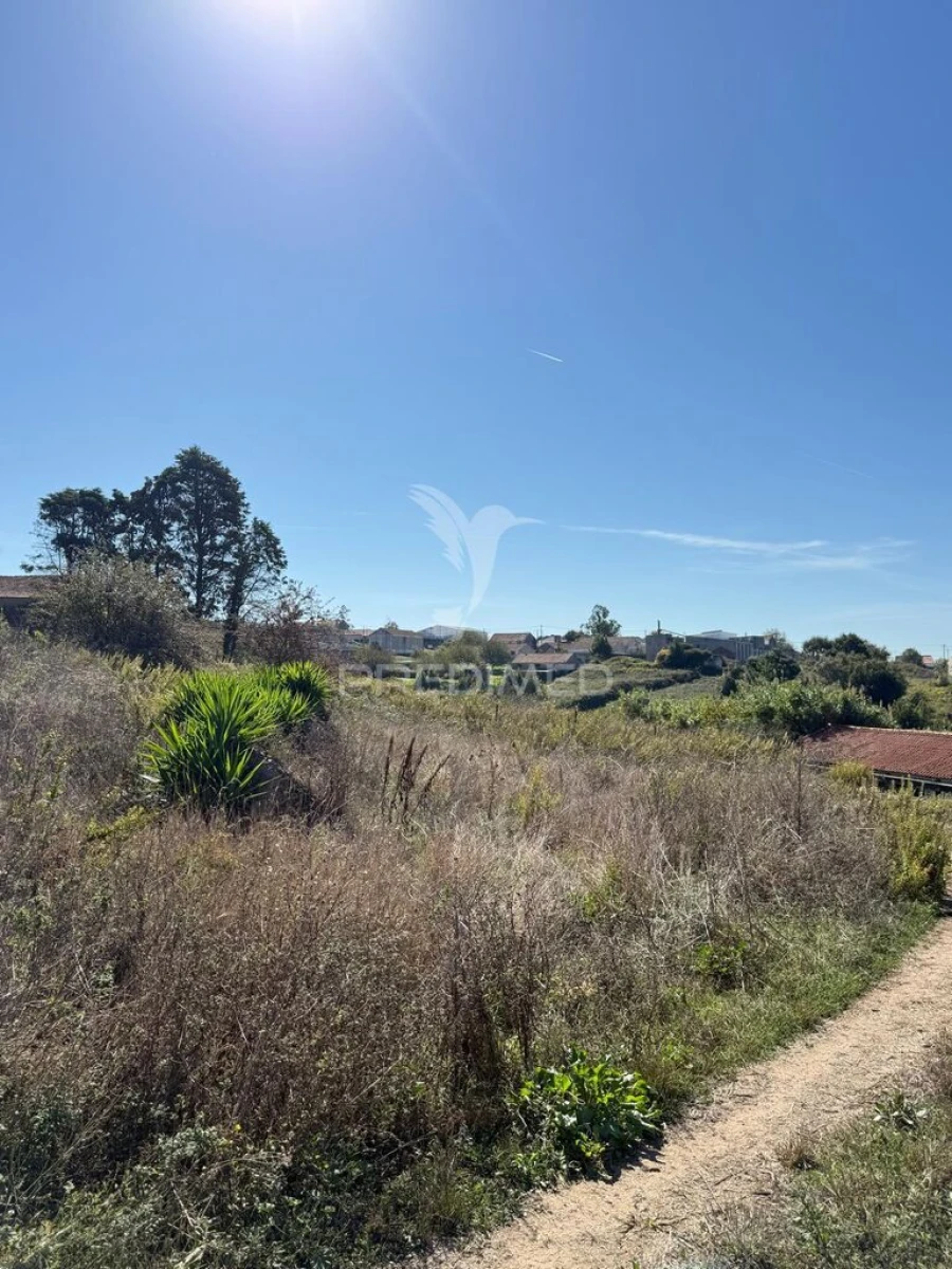 Terreno para Venda em Benedita Foto 6