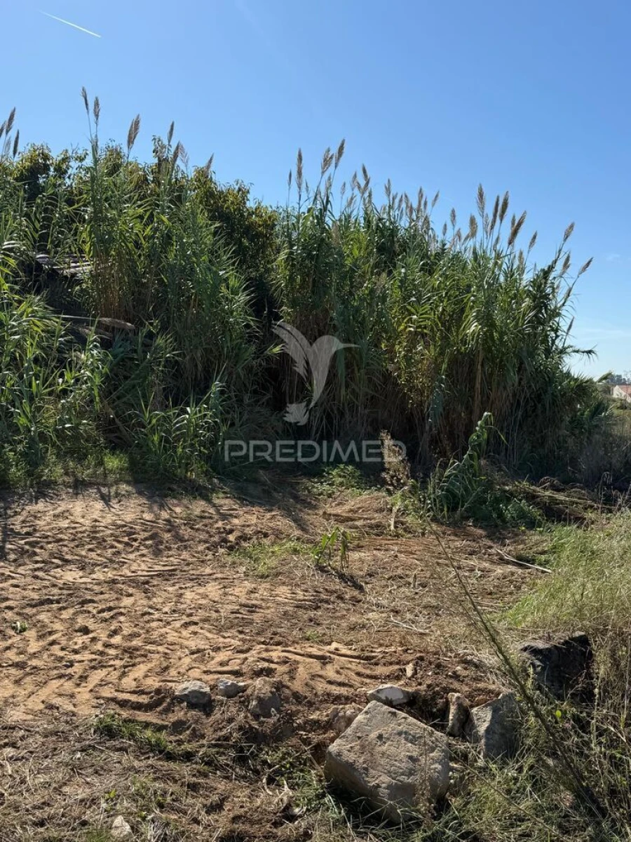 Terreno para Venda em Benedita Foto 2
