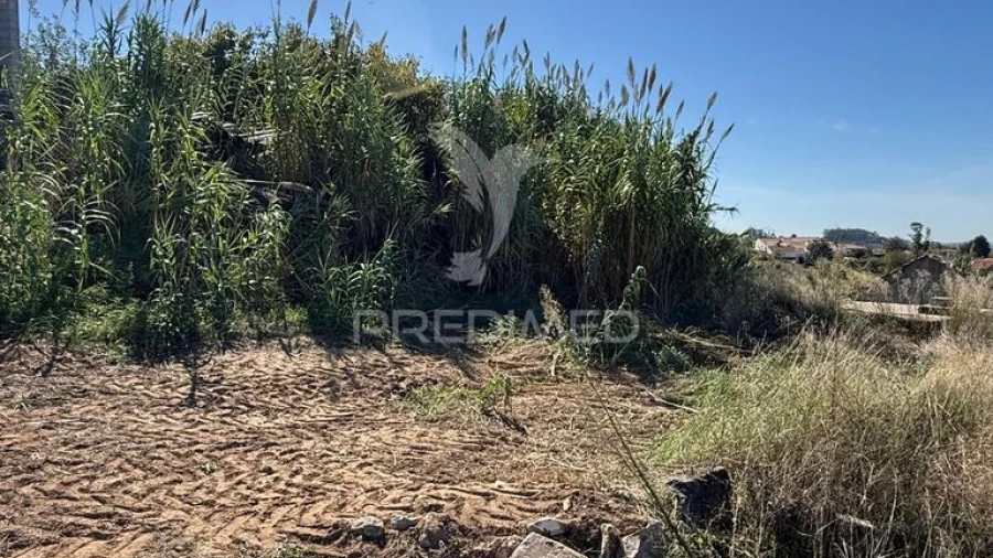 Terreno para Venda em Benedita