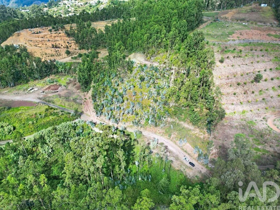 Terreno para Venda em Campanario Foto 13