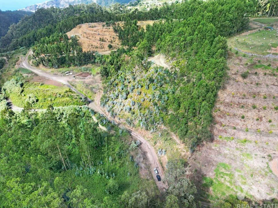 Terreno para Venda em Campanario Foto 15