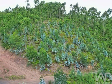 Terreno para Venda em Campanario