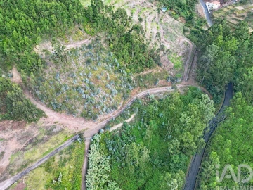 Terreno para Venda em Campanario