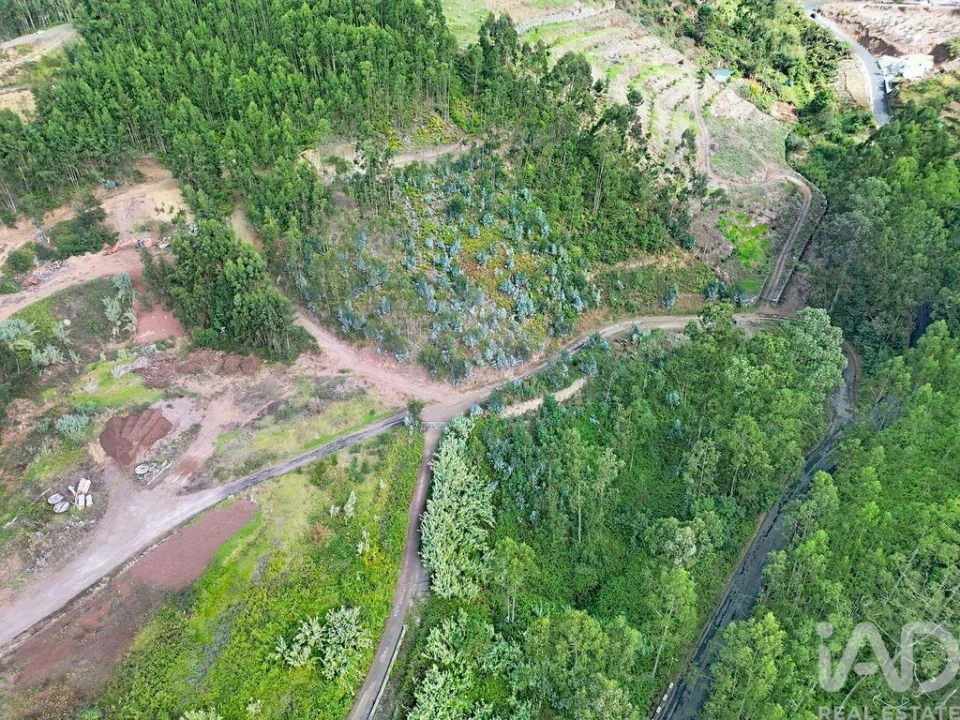 Terreno para Venda em Campanario Foto 10