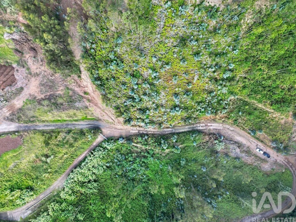 Terreno para Venda em Campanario Foto 3