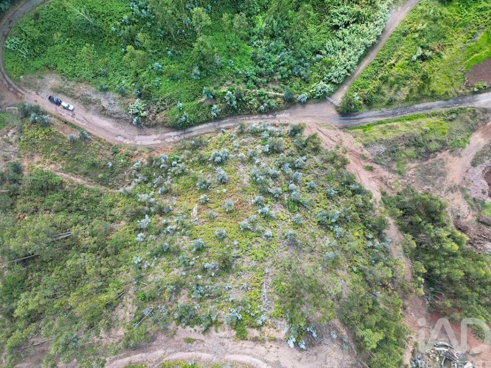 Terreno para Venda em Campanario Foto 16