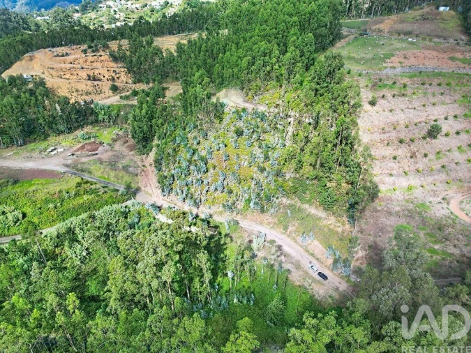 Terreno para Venda em Campanario Foto 13